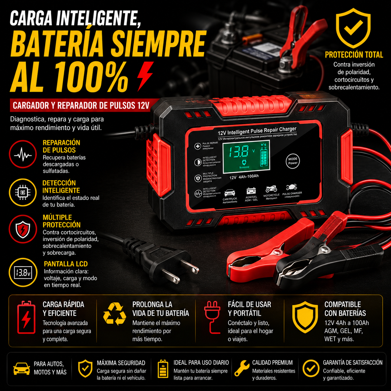 Cargador Inteligente RT Tianye 12V